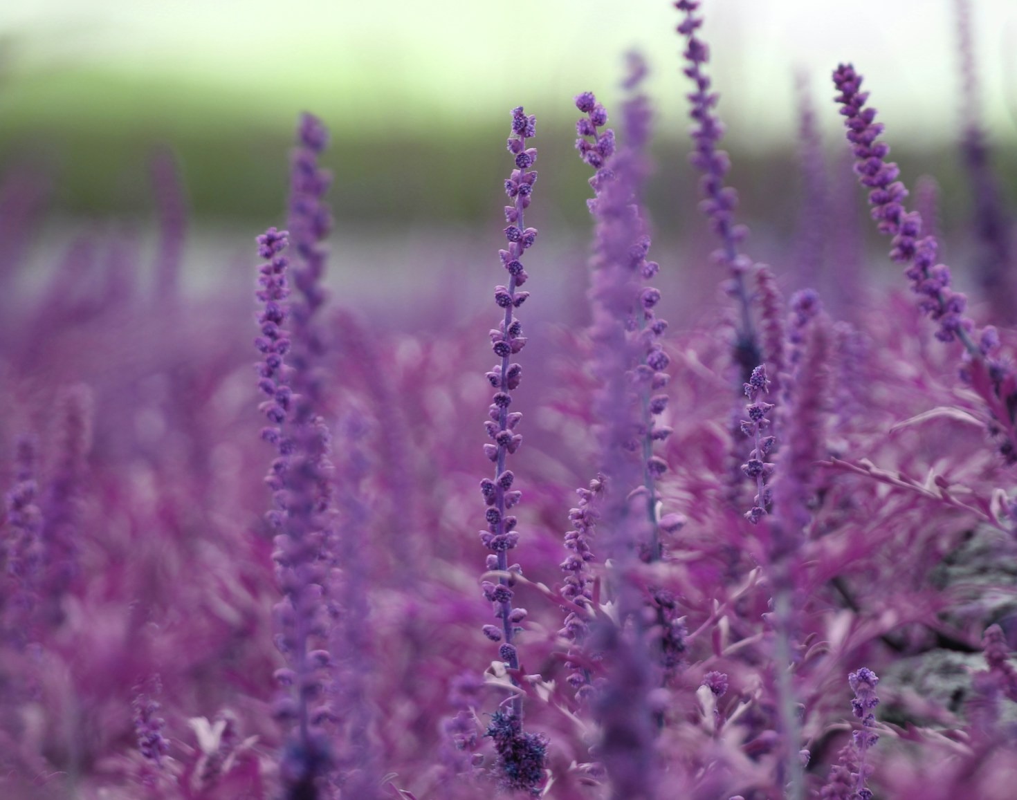 Naturologia clínica: abordagem integrativa para mulheres